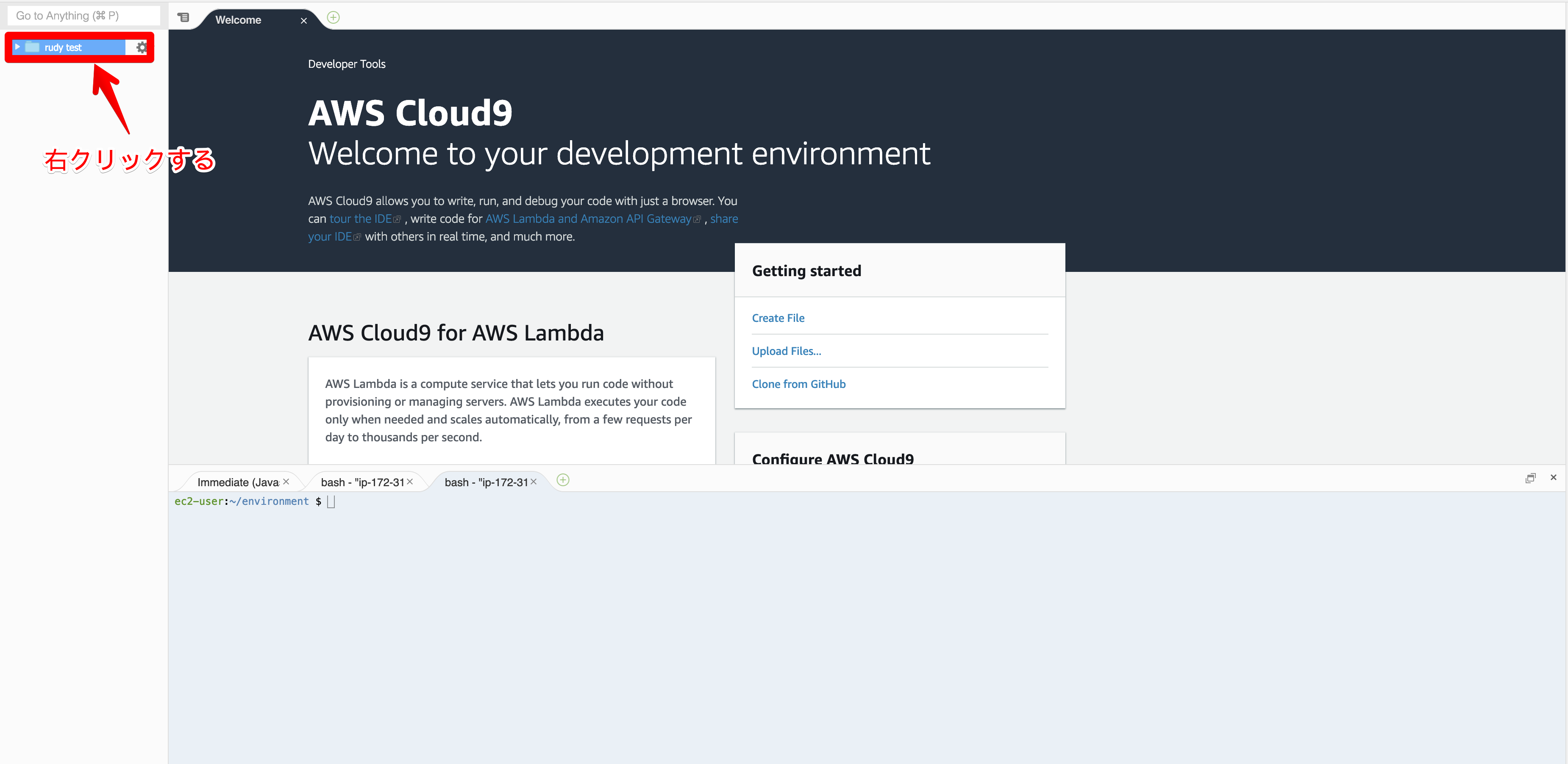 rudy test - AWS Cloud9 2019-03-07 09-22-49.png