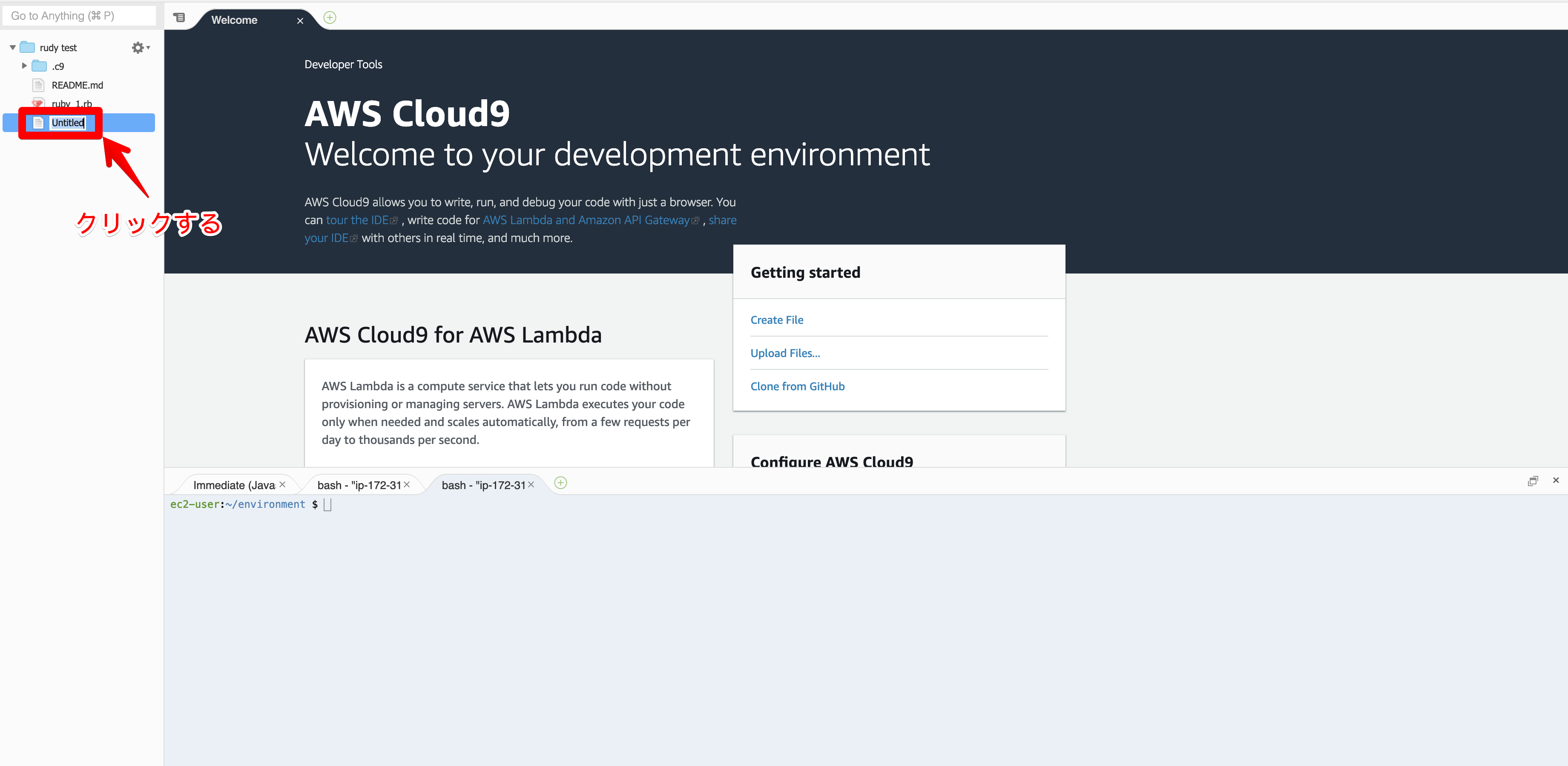 rudy test - AWS Cloud9 2019-03-07 09-38-29.png