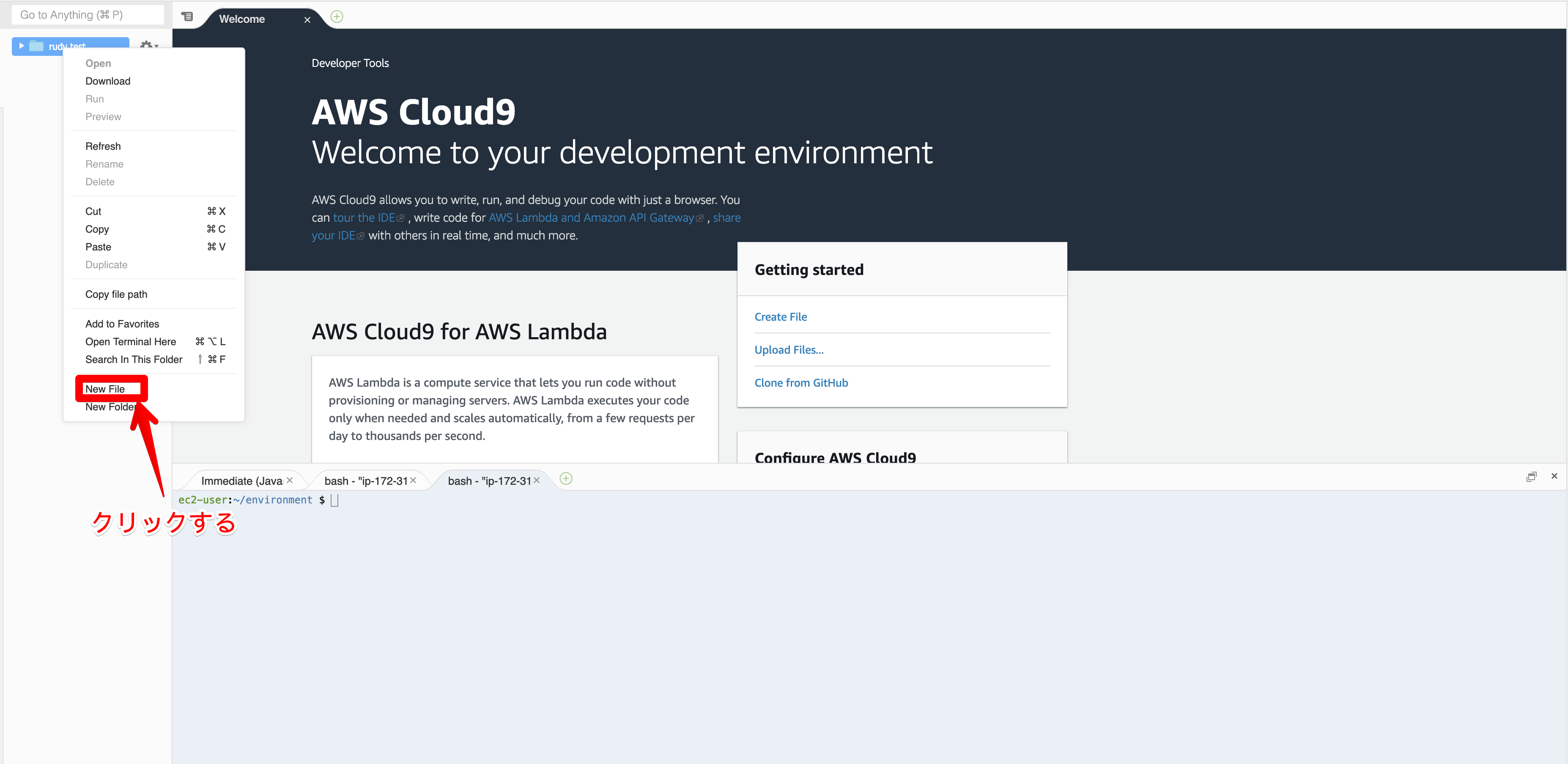 rudy test - AWS Cloud9 2019-03-07 09-25-41.png