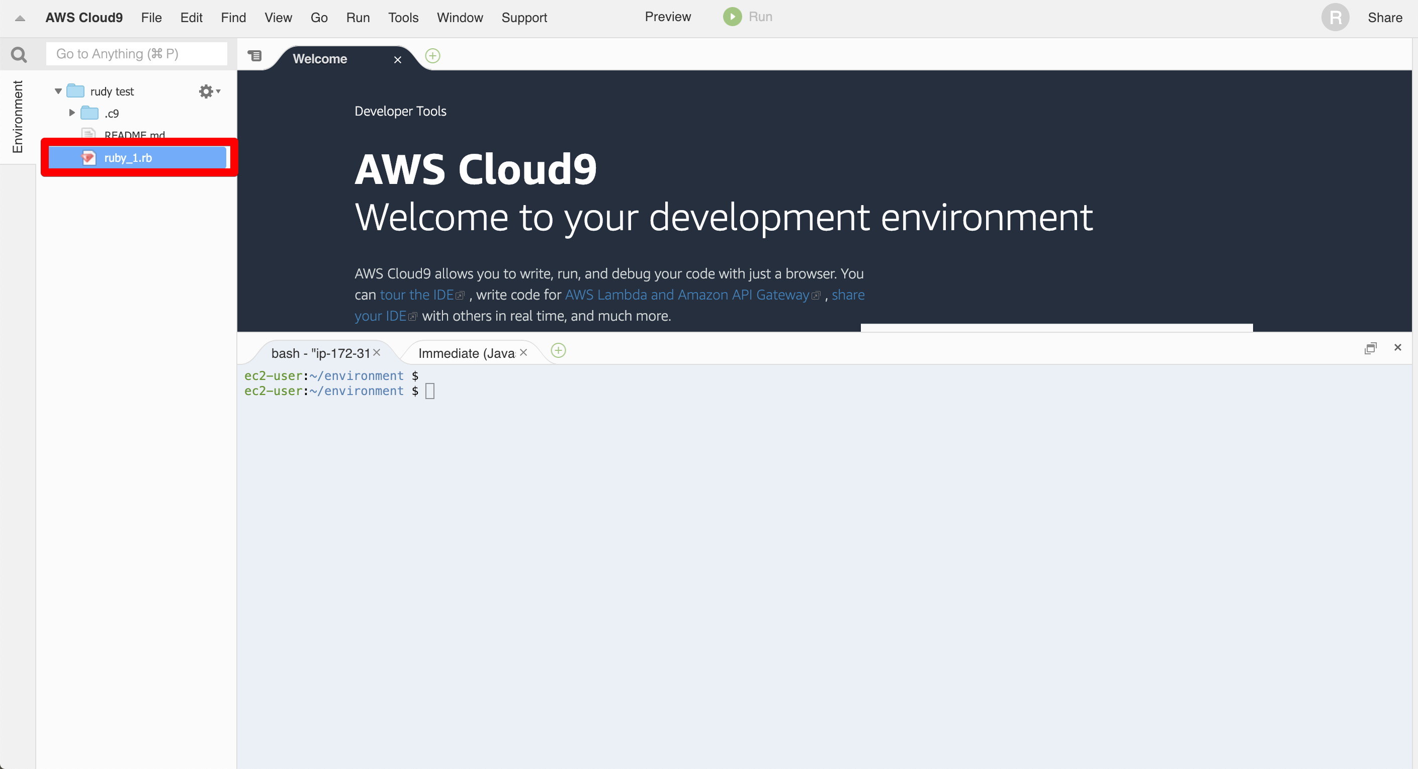 rudy test - AWS Cloud9 2019-02-09 23-36-43.png